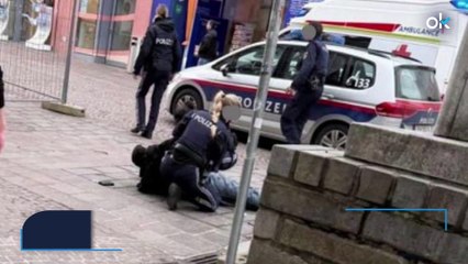 Otro ataque yihadista golpea Europa: un sirio mata a puñaladas a un niño en Austria y hiere a 4 personas