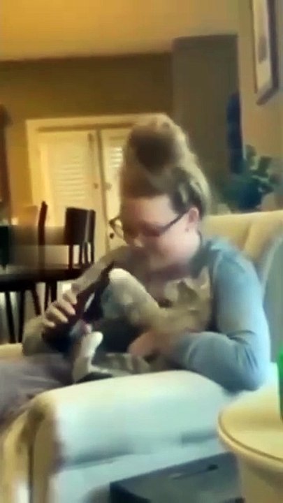 Cat see, cat do