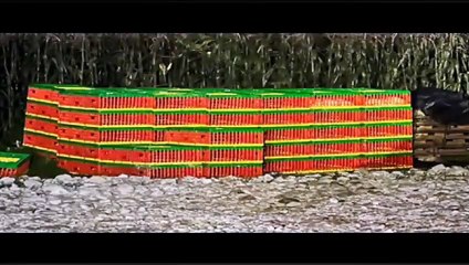 Extorsionan desde penales en otros a estados a los mexiquenses