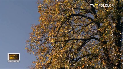 Ioana Ardelean - Cat traiesc pe-acest pamant (Tezaur folcloric - TVR 1 - 2021)