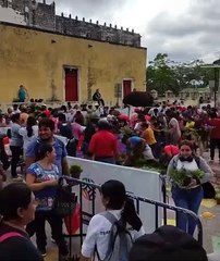 Descontrol en Umán: regalan plantas y se convierte en un alboroto