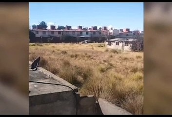 Balacera en calles de Toluca