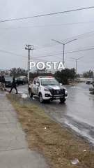 VIDEO | Autoridades catean propiedad en El Carmen por delitos contra la salud