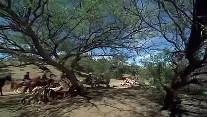 Bandera Falsa/Serie "Los Jóvenes Jinetes" (Series Western)