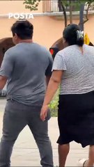 El cristal, potente droga adictiva que afecta a adolescentes en Yucatán