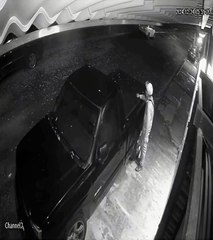 VIDEO | Capturan en Guadalupe a presunto integrante de banda dedicada al robo de autopartes