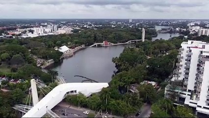Cocodrilos de Villahermosa así buscan calentarse ante bajas temperaturas