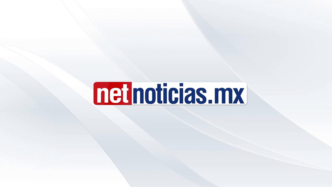Voces del Bosque - 15 de febrero 2025