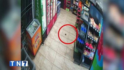 OIJ recolecta pólvora y fragmentos del explosivo lanzado en minisúper de San Carlos