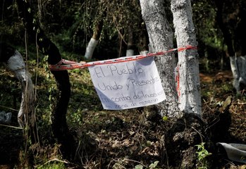 San Bartolo Ameyalco: Rumor de tala desata intento de linchar a dos jóvenes