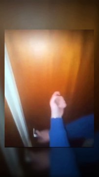 Dog Heroically Protects Kitten from Larger Cat