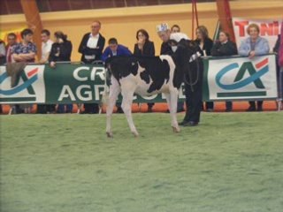 Vidéo Châtenois 2008