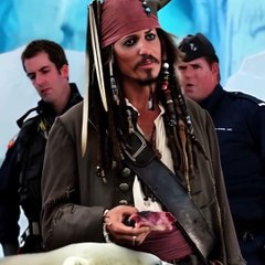 Jack sparrow Feeding Bear