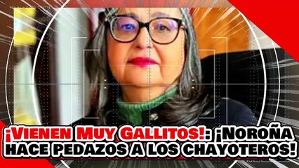 ¡VIENEN MUY GALLITOS! ¡NOROÑA HACE PEDAZOS a los CHAYOTEROS ENVIADOS por NORMA ‘RA-PIÑA’!
