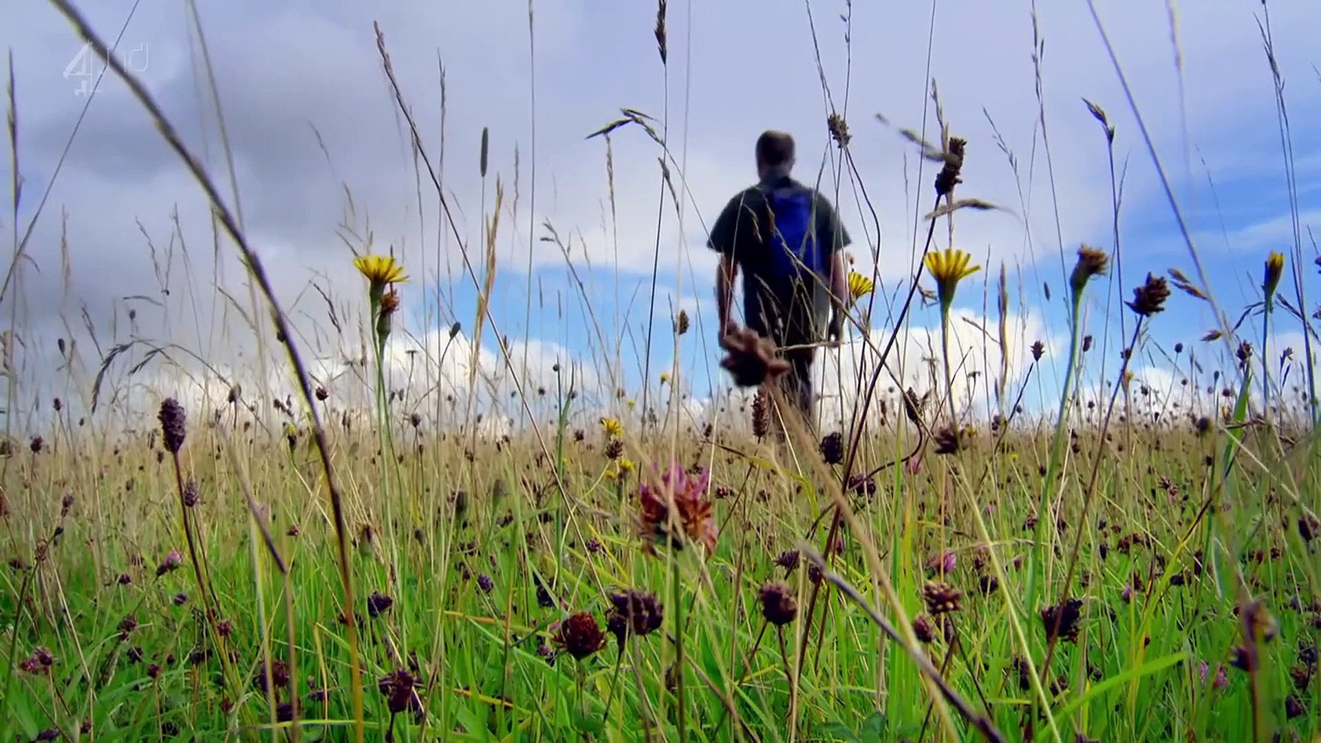 Walking Through History with Tony Robinson