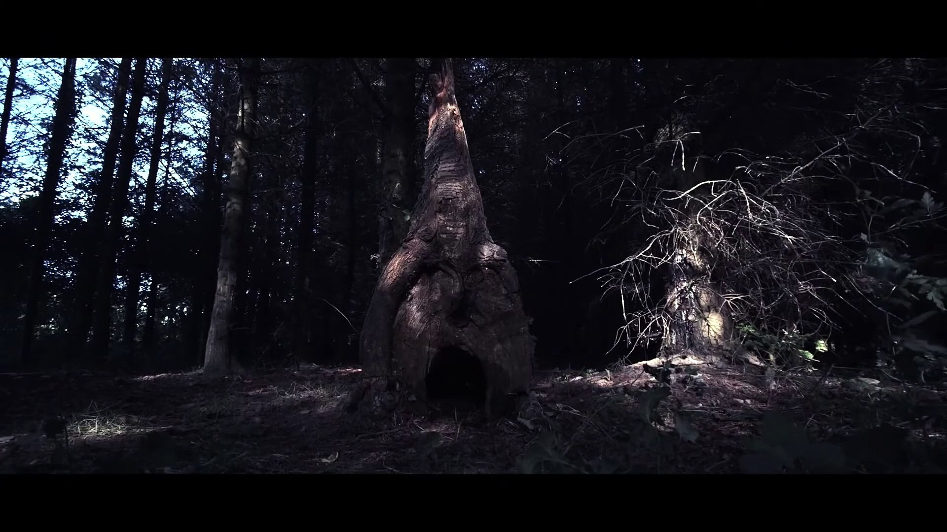 ⁣Defender of the magical world ｜ English Fantasy Movies