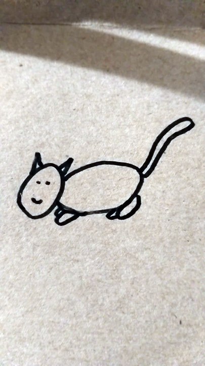 Gatto nero disegno