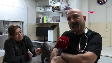 Adana'da 6 milyonda 1 görülen vaka: Bu miniğin çift cinsiyeti olduğu ortaya çıktı