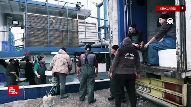 İğneada açıklarındaki hamsi bolluğu balıkçıların yüzünü güldürdü