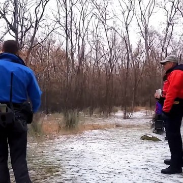Trapped wolf rescued | The Funniest Animal Videos 2025 | Funny Dogs and Cats are here to Break your HEART | Funny Animal Moments | Fun Time | help | wolf | Family Fun | Entertainment Time | Daily