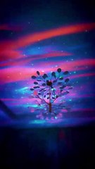 Love has come to an end (Turn on Caption)