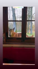 Anthony Delon à Douchy, 16 février 2025 Instagram