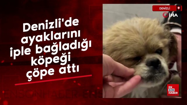 Denizli'de ayaklarını iple bağladığı köpeği çöpe attı
