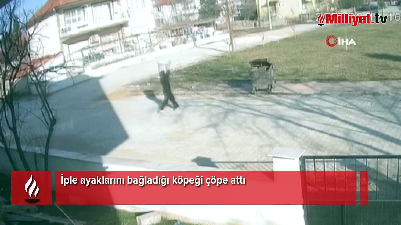 Denizli’de korkunç görüntü! Ayağını bağlayıp çöpe attı