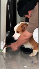 Report it to the authorities for me 🙂