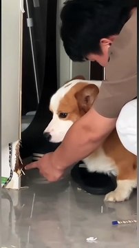 Report it to the authorities for me 🙂