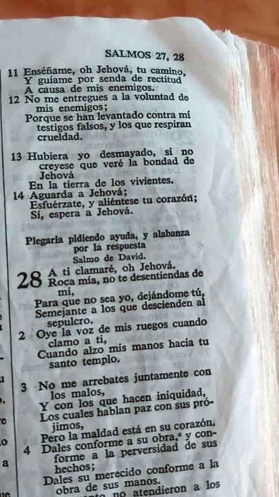 Palabra de  Dios