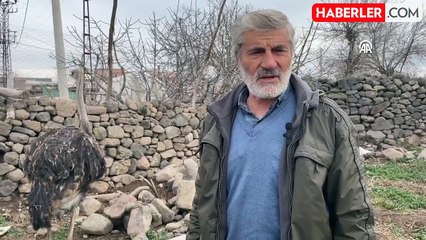 Kaybolan Deve Kuşu 3 Gün Sonra Bulundu