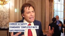 Current AI safety standards ‘completely nuts, says professor