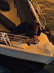 Most ICONIC Scene in Titanic!🔥