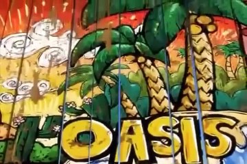 Oscar’s Funniest Chase Scenes – Which One is the Best? #OscarOasis #FunnyVideos  #BestCartoonVideos #E.K.E #KidsCartoonVideos