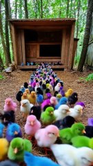 Poyo  sacar inmajinate