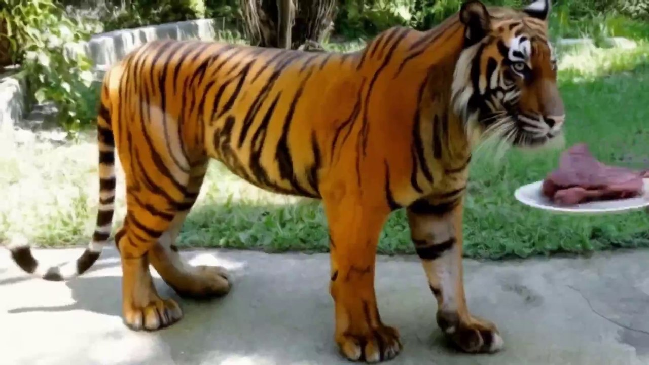 A Brave Woman With Tiger