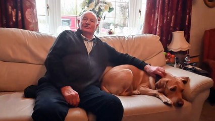 Man fined for not having a poo bag in his pocket while popping for a paper with his dog.
