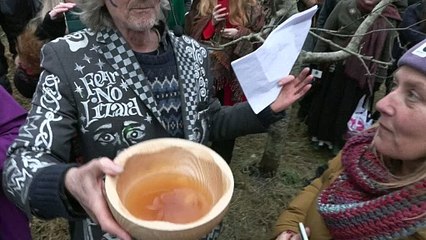 Cider and animal bones in pagan-rooted Brit ritual for bountiful apple crop