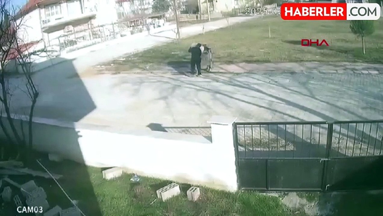 Köpek Çöp Konteynerinde Bulundu, Sahibi Suç Duyurusunda Bulundu