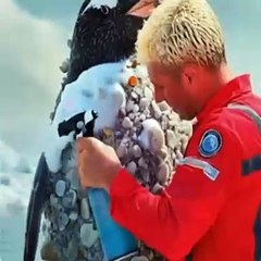 How jack and rescuer helped  penguin