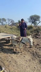 بھائی_نے_نوی_گڈّی_لئی_اے_😂بھائی_نے_نوی_گڈّی_لئی_اے_😂(540p)