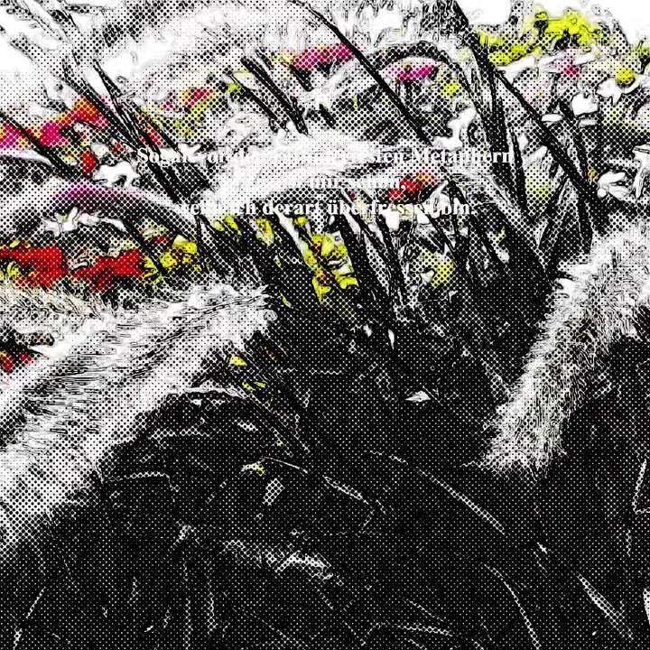 nix für ungut, Herr Νίκος, und was, Ingeborg, hearst, was soll nur werden?