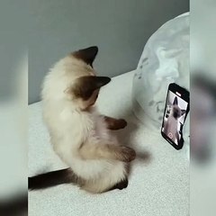 I can't stop laughing 😆