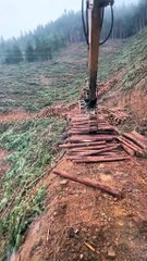 🚜 Forestry Machines & Excavator Life 🌲 #viralvideo #survival #wildernesssurvival