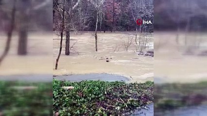 ABD’de çok sayıda eyaleti fırtına vurdu: 9 ölü