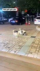 Forgot to use sunscreen