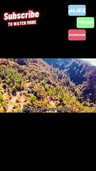 What Happens When WILD Animals See a Drone Part 3