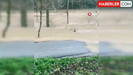 ABD'de fırtına can aldı: 9 ölü