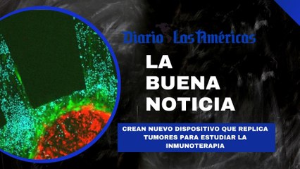 Crean Nuevo dispositivo que replica tumores para estudiar la inmunoterapia | La buena noticia